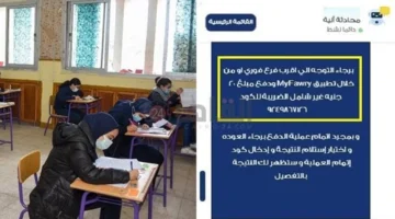 رابط رسمي.. إعلان نتائج صفوف النقل بمدارس القاهرة وموعد استلام الشهادات المدرسية